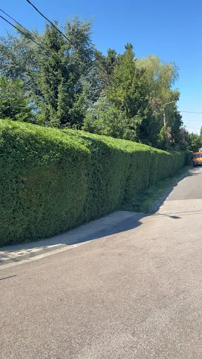 Réalisation Concept Paysagiste 8